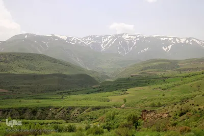 رهاسازی دو گونه ارزشمند و نادر حیات وحش منطقه ارسباران در ارتفاعات شهرستان اهر