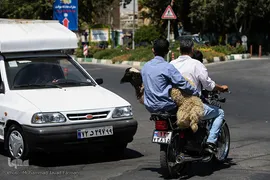بازار گرم خرید قربانی در روز عید قربان