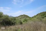 بقعه امامزاده پیرداوود‎