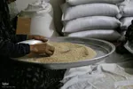 پخت «حلیم در جُم ( خمره) میراثی ۳۰۰ ساله در فین