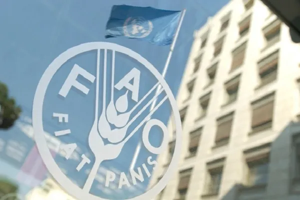 الأمم المتحدة: كل 5 ثواني يموت طفل من الجوع