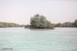 طبیعت صفر مرزی چابهار