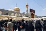 عکس | حال‌وهوای اربعین حسینی در حرم رضوی