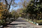 طبیعت پاییزی تبریز