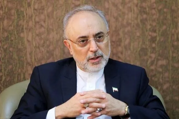 علی‌اکبر صالحی قائم‌مقام رئیس فرهنگستان علوم شد