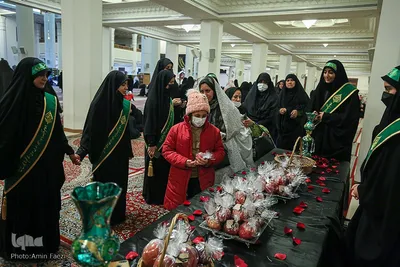سیب بهشتی‎‎