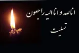 مادر شهید «خیرالله صمدی» به فرزند شهیدش پیوست