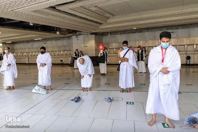 حجاج در سرزمین وحی