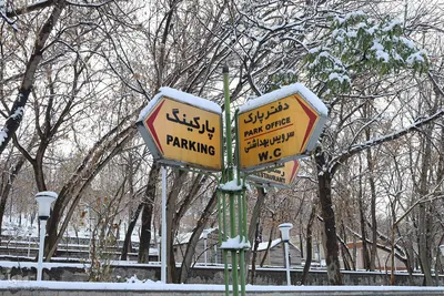 بارش اولین برف پاییزی در تبریز