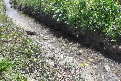 طبیعت بهاری روستای کسانق اهر
