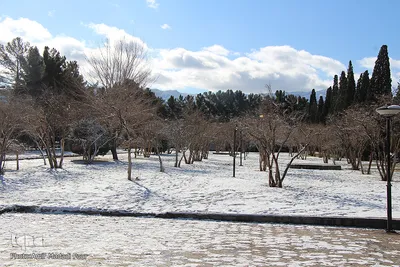 آغاز زمستان در خراسان‌جنوبی