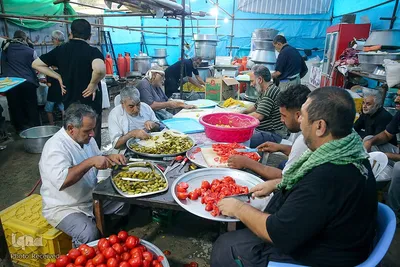 موکب صاحب‌الزمان(عج) فارس در کربلا