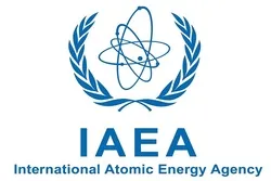 Dirjen IAEA: Tak Ada Pengayaan Uranium 90 Persen di Iran