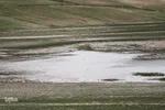تالاب قوری گول‎‎