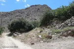 طبیعت زیبای شهرستان تفت