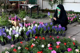 خرید گل سفره هفت سین برای مزار دایی، شهید سید حسن غیوری 