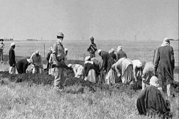 هاآرتص: اسرائیل زمین‌های فلسطینیان را با سم‌پاشی تصاحب می‌کرد