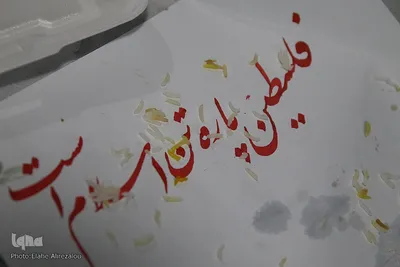 پویش پخت مقلوبه در تهران