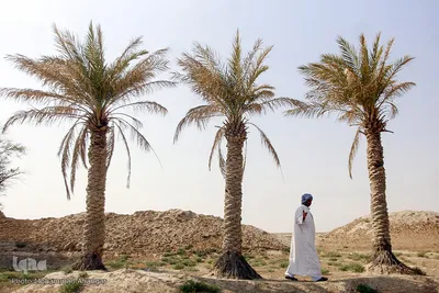 کمترین تحریری از یک زندگانی
