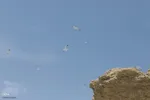 بازدید تور رسانه‌ای از کاکایی ارمنی در جزیره شاهسون دریاچه ارومیه و مزرعه پرورش آرتمیای بندر رحمانلو در عجب‌شیر