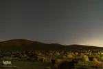 کوچ عشایر در فارس‎