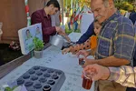 ایستگاه صلواتی به مناسبت ولادت امام حسن عسکری(ع) در ملایر‎