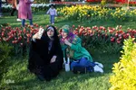 جشنواره گل‌های لاله در اراک