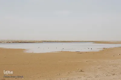خشک شدن تالاب گاوخونی