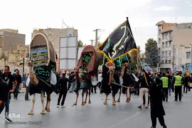 کاروان غربت عشق