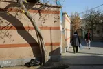اجرای طرح واکسیناسیون خانه به خانه در مشهد
