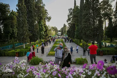 نوروز زرد حافظیه‎