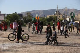 بزرگترین سوگواره تعزیه میدانی «شور حسینی» در شیراز
