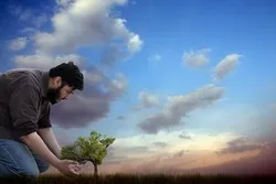 Muslims Can Do Much More for Environment