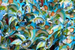 جشن دانش‌آموزان البرزی‎