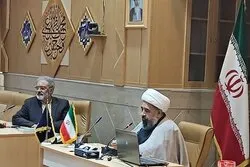 نئی نسل شہید ڈاکٹر محمد علی نقوی کے افکار و خیالات کو آئیڈیل بنائے: علامہ امین شہیدی