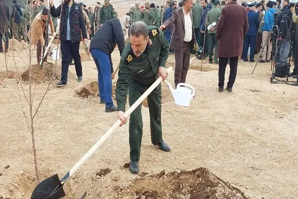 غرس سالانه 50 میلیون نهال از سوی بسیج