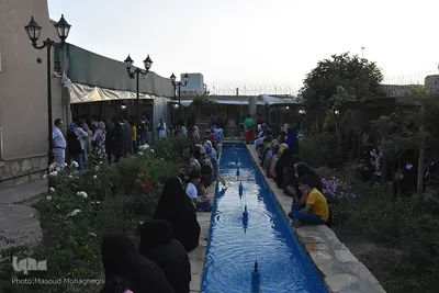 جشنواره گل و گلاب محمدی - سمنان‎‎