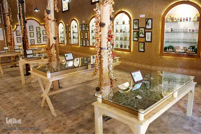باغ موزه گیاهان دارویی و معطر زنجان