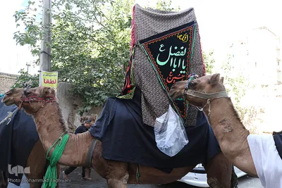 ⁨آئين نمادين حركت كاروان اسرای كربلا