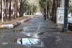 بیرجند پس از باران