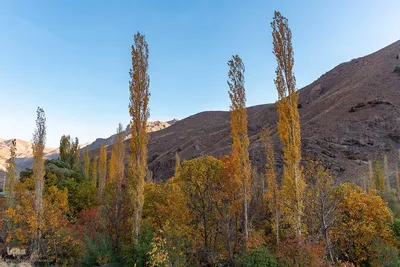 پاییز زیبای طالقان