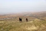رنگین‌کمان رنگ‌ها در سرزمین ارسباران