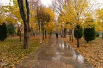 نغمه باران در اصفهان