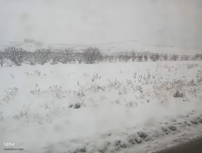 تداوم بارش برف و برودت هوا در شهرستان اهر