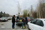 بازار نهال مشهد در آستانه فصل بهار
