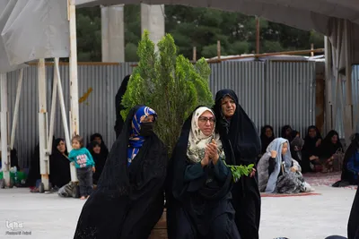 جشن روز دختر در حرم حضرت زینب خواهر امام رضا (ع)
