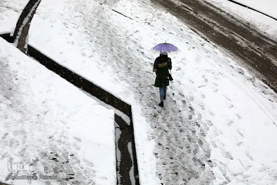 تهران برفی