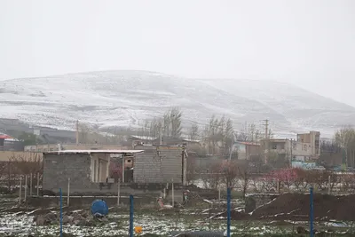 زمستان در بهار منطقه ارسباران