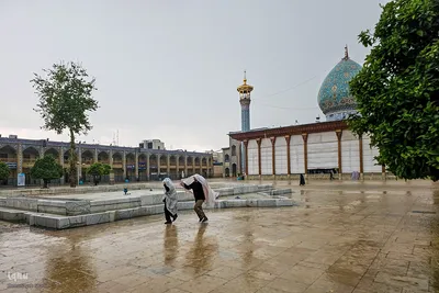 باران اردیبهشت در حرم شاهچراغ(ع)