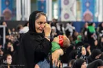 همایش شیرحوارگان در کرج